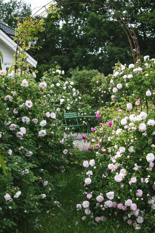 Vallby Cottage Enköping Esterno foto