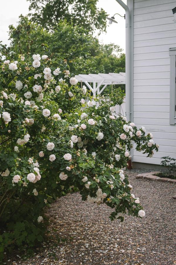 Vallby Cottage Enköping Esterno foto