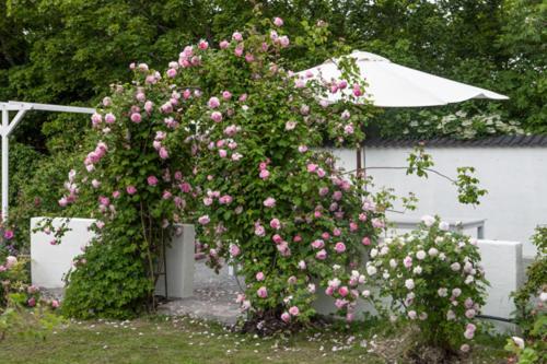 Vallby Cottage Enköping Esterno foto